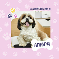 DOG FEMEA