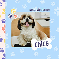 DOG MACHO
